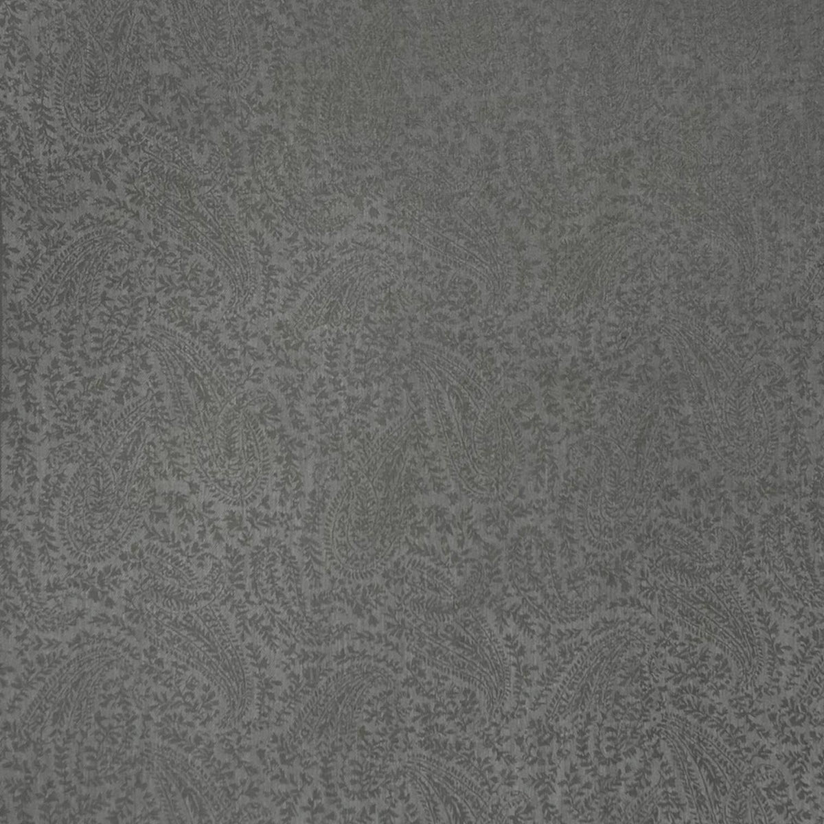 Pashmina paisley print finished with tassels
