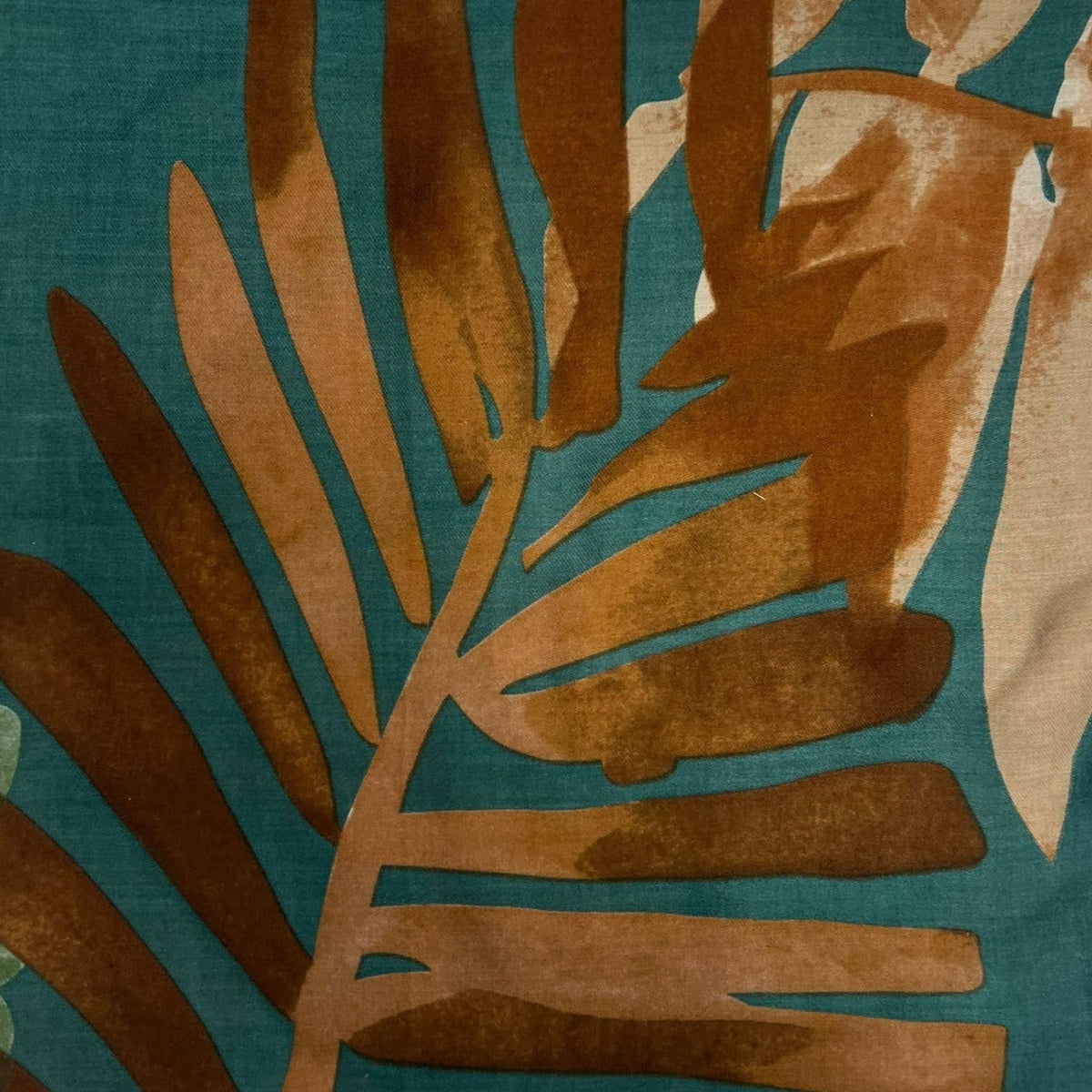 Big amazon leaves