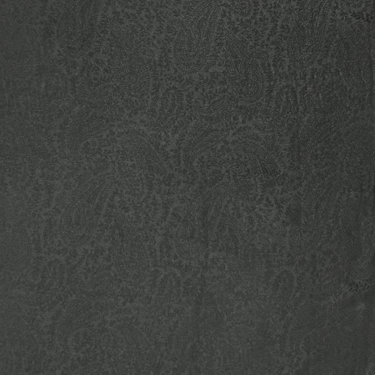Pashmina paisley print finished with tassels